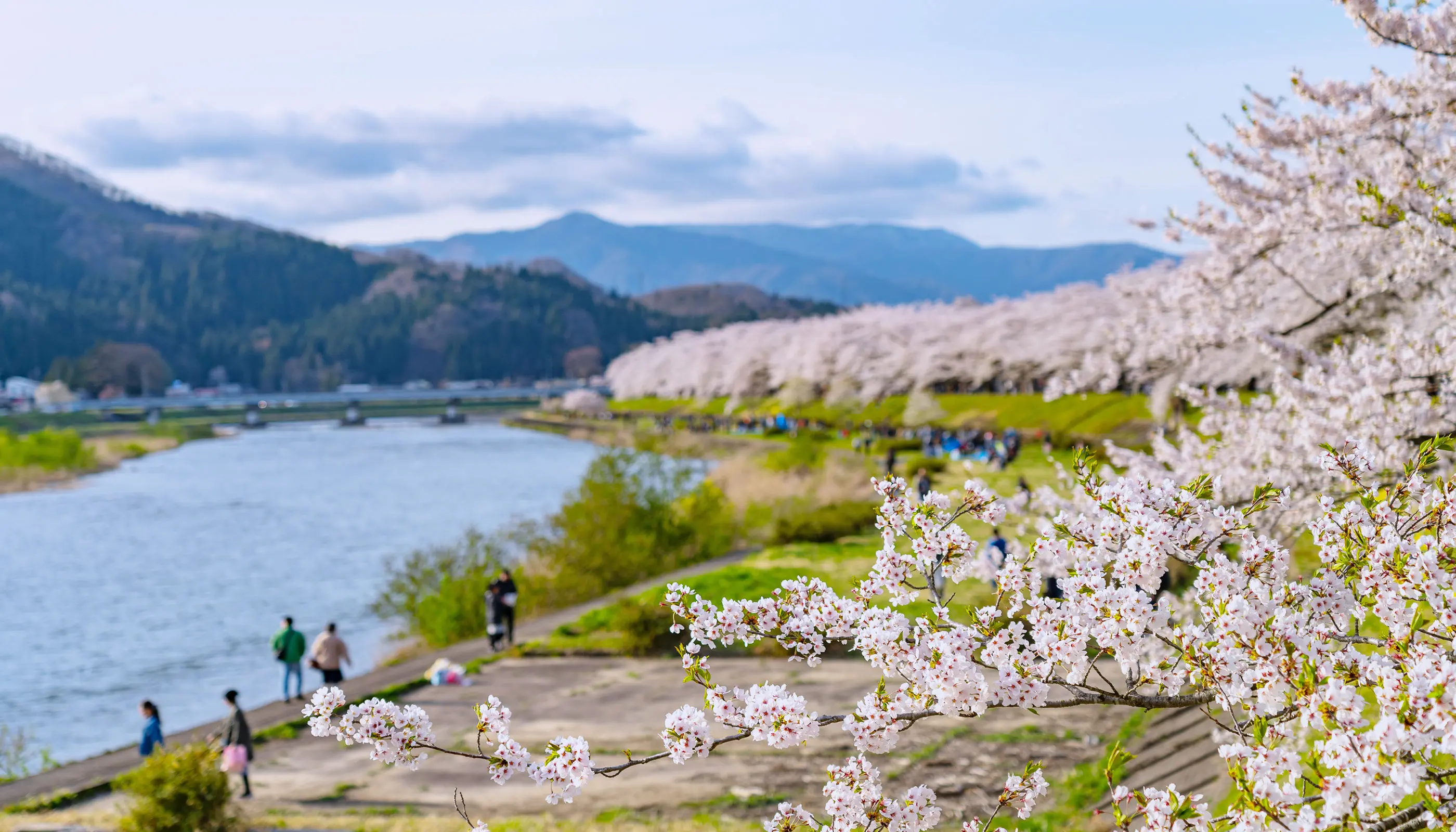 風にそびえる都の象徴も光受けて花咲く里も